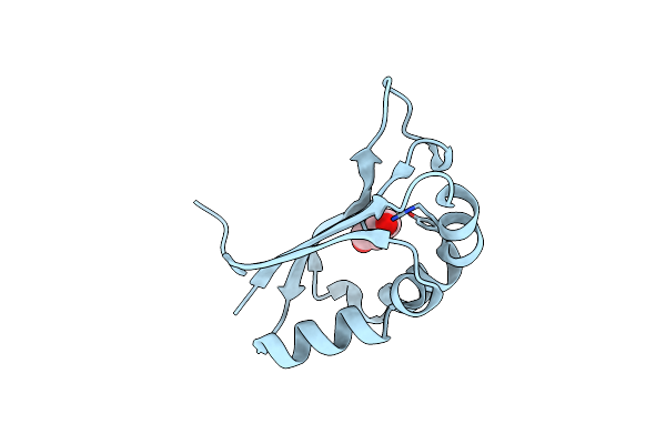 4LBH image