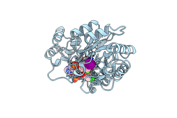 4LBR image