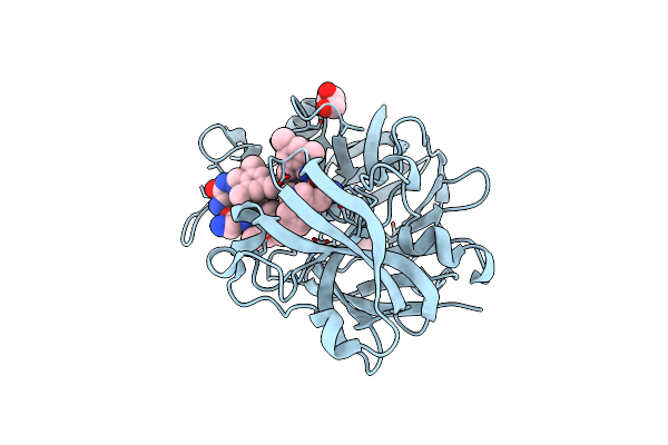 4LBT image