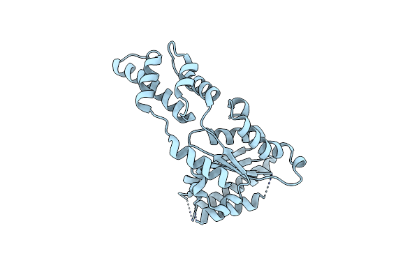 4LCB image