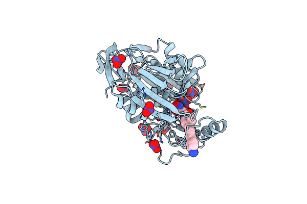 4LCF image