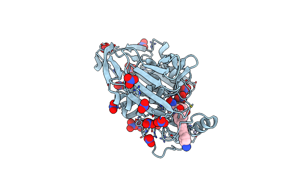4LCH image