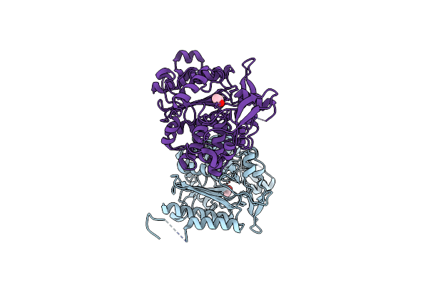 4LCL image