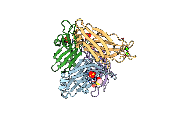 4LCV image