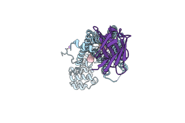4LDO image