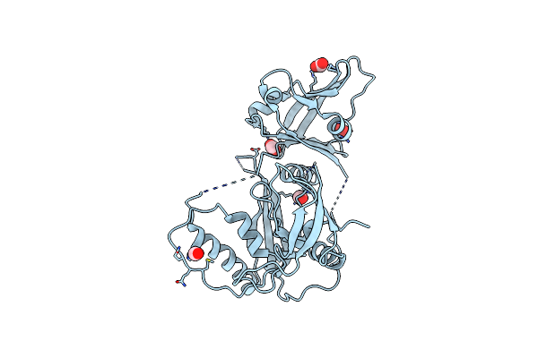 4LDV image