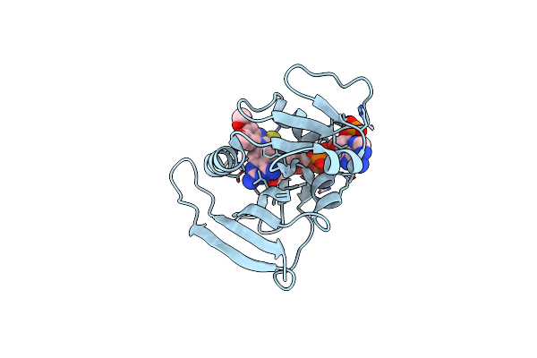 4LEK image
