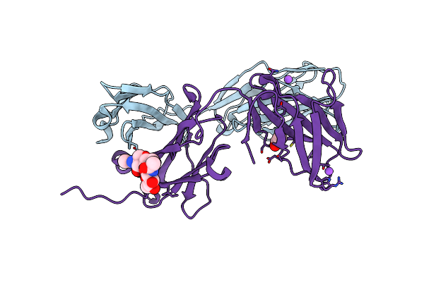 4LFH image
