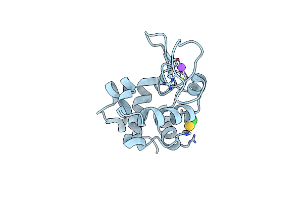 4LFP image