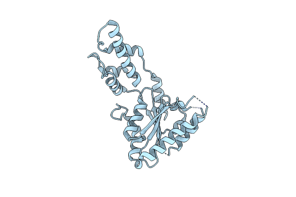 4LGM image