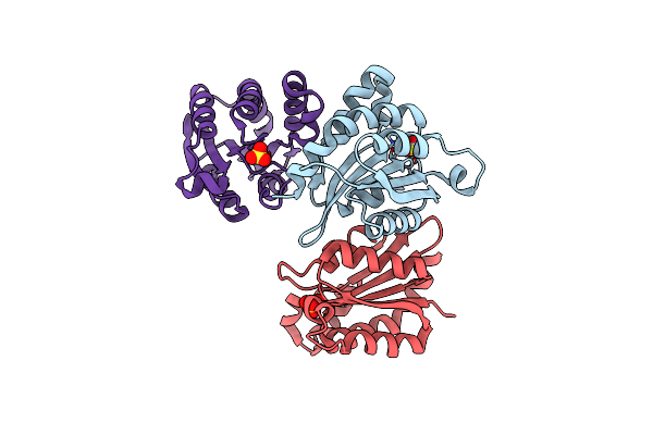 4LHB image