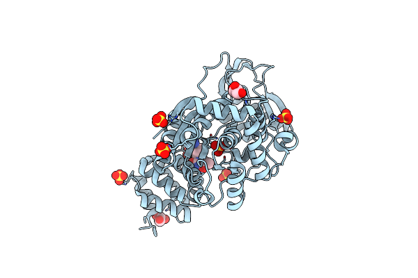 4LHM image