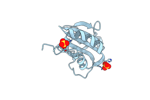 4LIF image