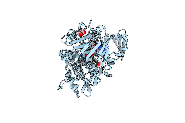 4LII image