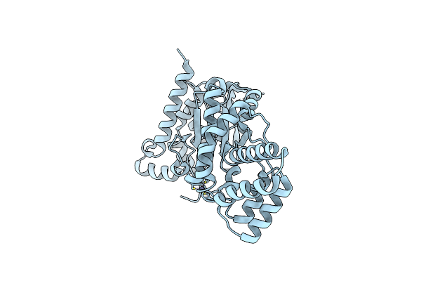 4LIM image