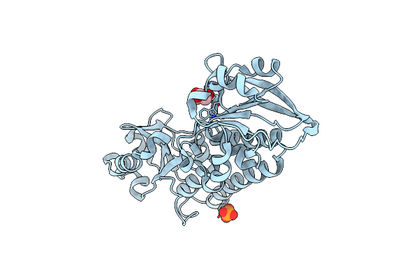 4LJS image