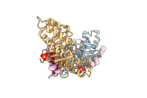 4LKM image