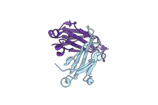 4LLD image