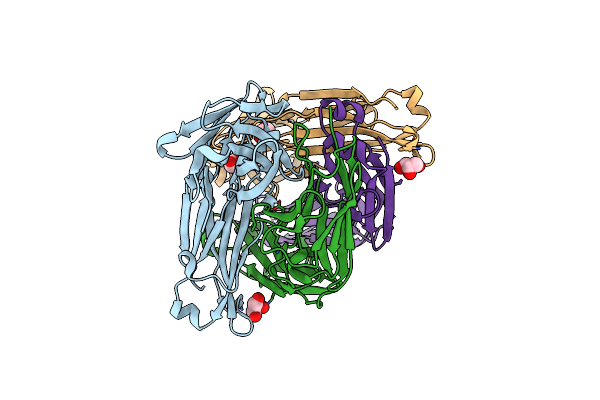 4LLY image