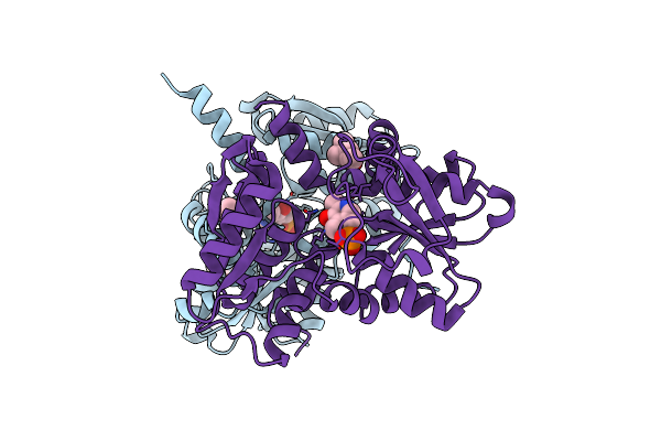 4LMA image