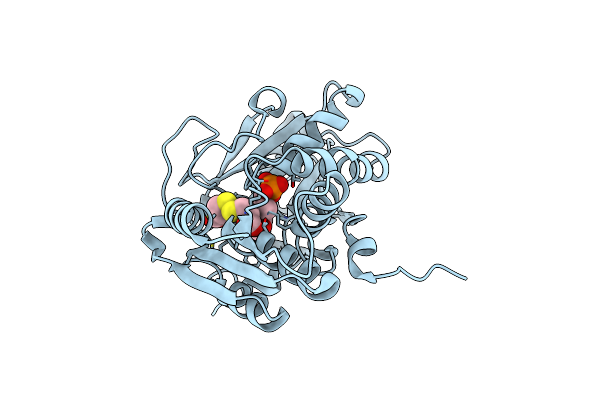 4LMB image
