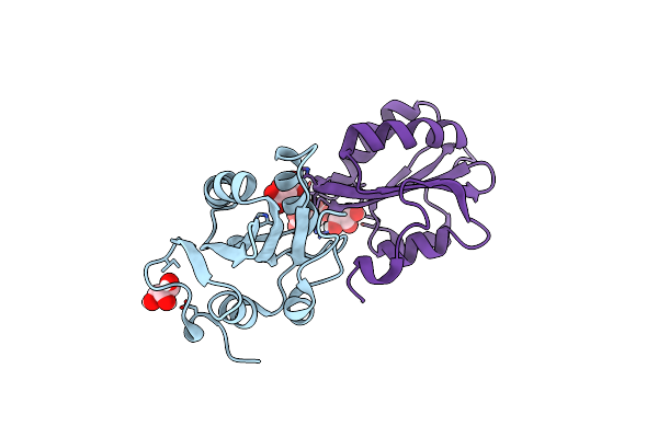 4LMD image