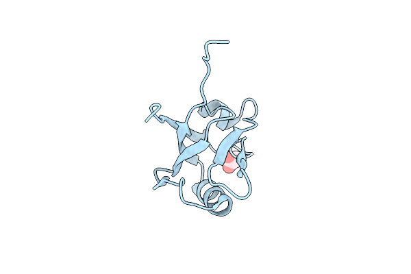 4LMM image