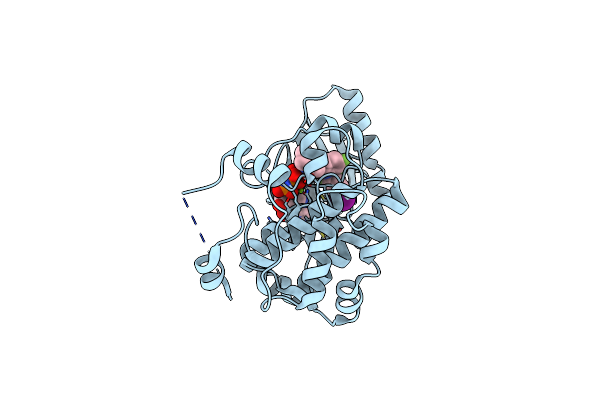 4LMN image