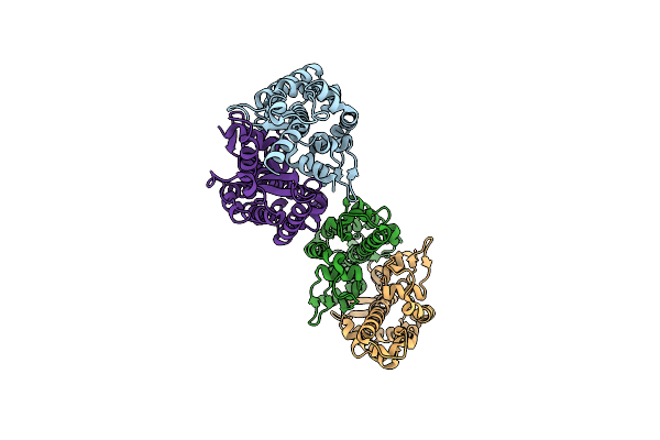 4LMO image
