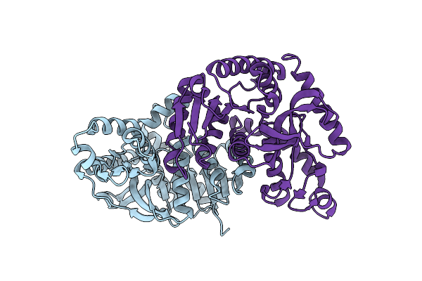 4LMR image