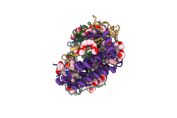 4LMS image