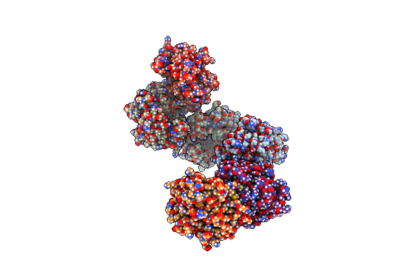 4LMV image