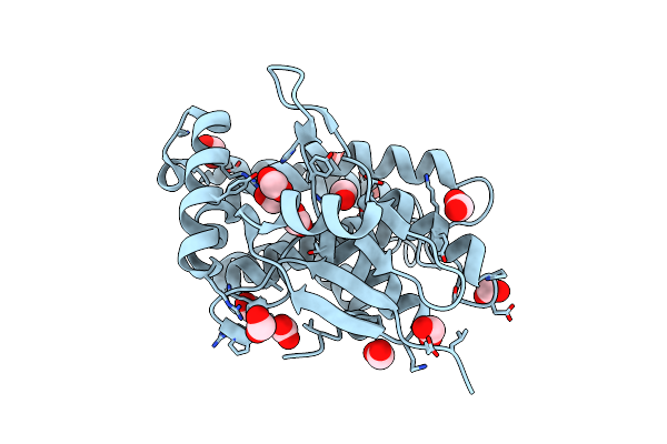 4LMW image