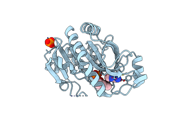 4LNA image