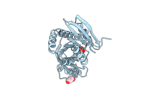 4LNH image