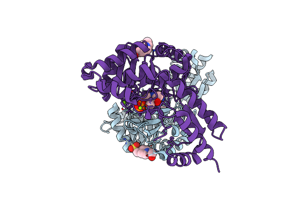 4LNJ image