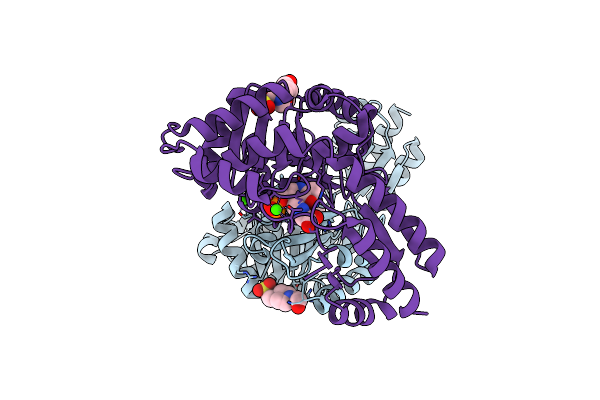 4LNM image
