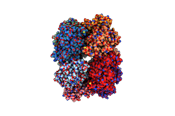4LNN image