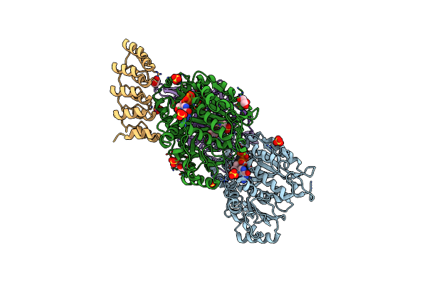 4LNU image