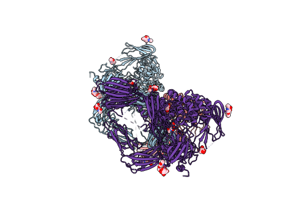4LNV image