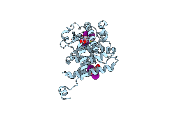 4LNW image