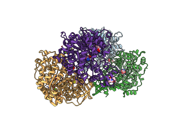 4LOC image