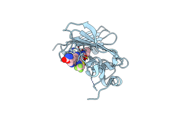 4LPB image