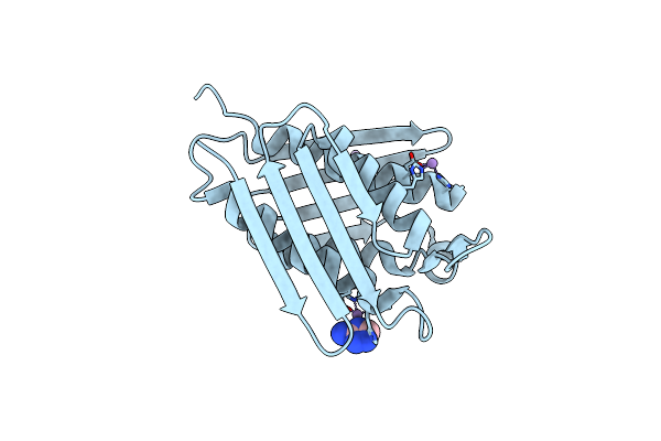 4LPF image
