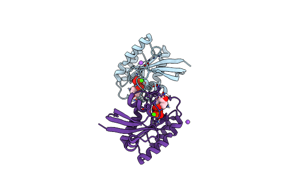 4LPK image