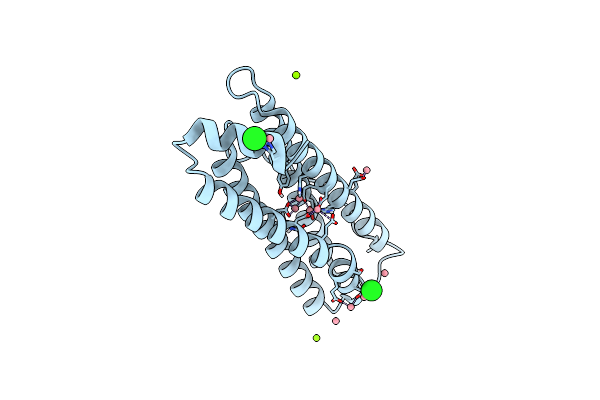 4LPN image