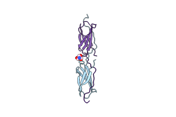 4LPV image