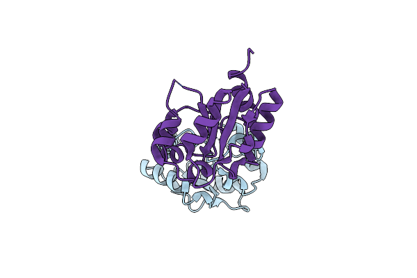 4LQC image