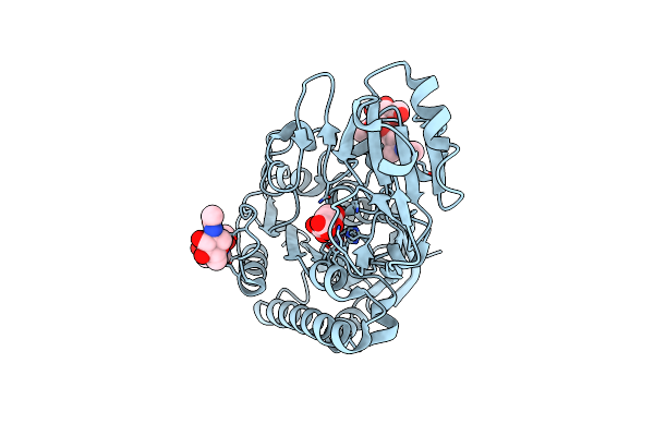 4LR2 image