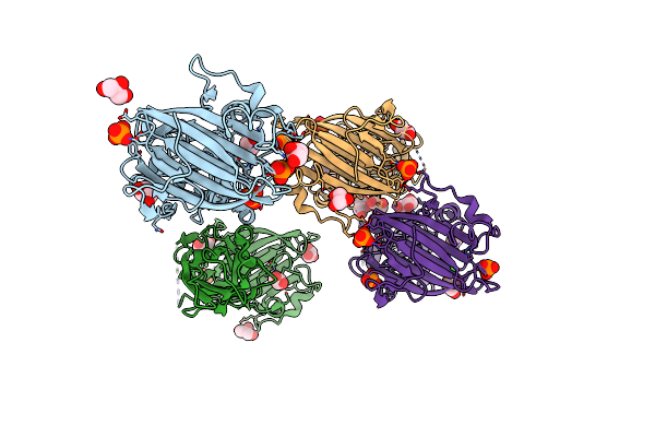 4LR4 image